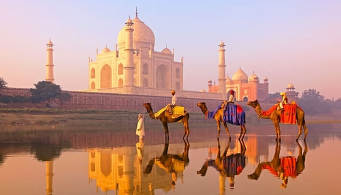 rajasthan-tour