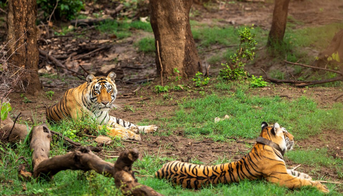 rajasthan-tour