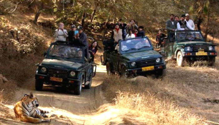 rajasthan-tour