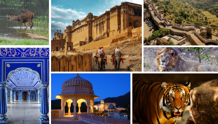 rajasthan-tour