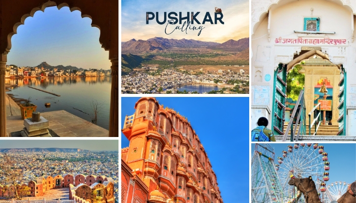 rajasthan-tour