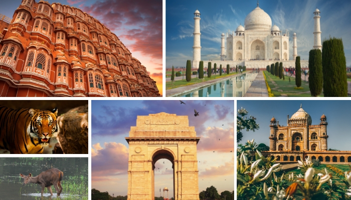 rajasthan-tour